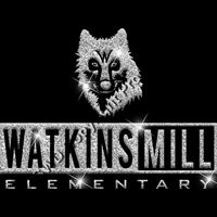 GLT55 SILVER GLITTER Thumbnail