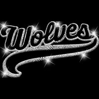 GLT78 SILVER GLITTER Thumbnail