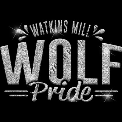 GLT62 SILVER GLITTER Thumbnail